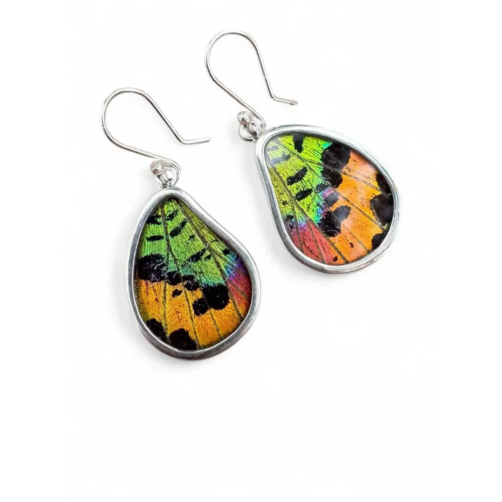 Butterfly Wing Solid 925 Sterling Silver Earrings